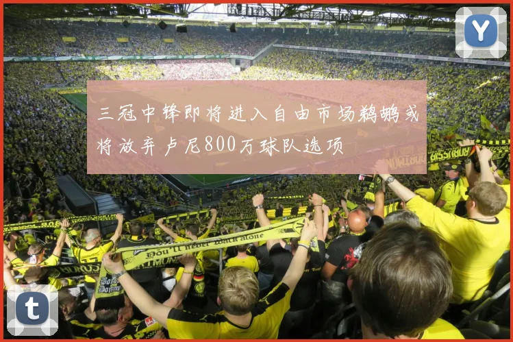 三冠中锋即将进入自由市场鹈鹕或将放弃卢尼800万球队选项